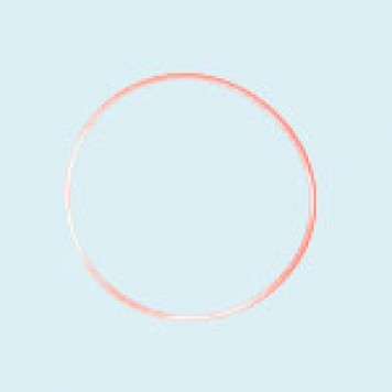 Уплотнительное кольцо 100-GB3452.1 для виброплиты MS90 Masalta (Масалта)-0