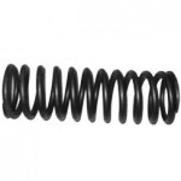 Пружина (внешняя), R07203002 -0